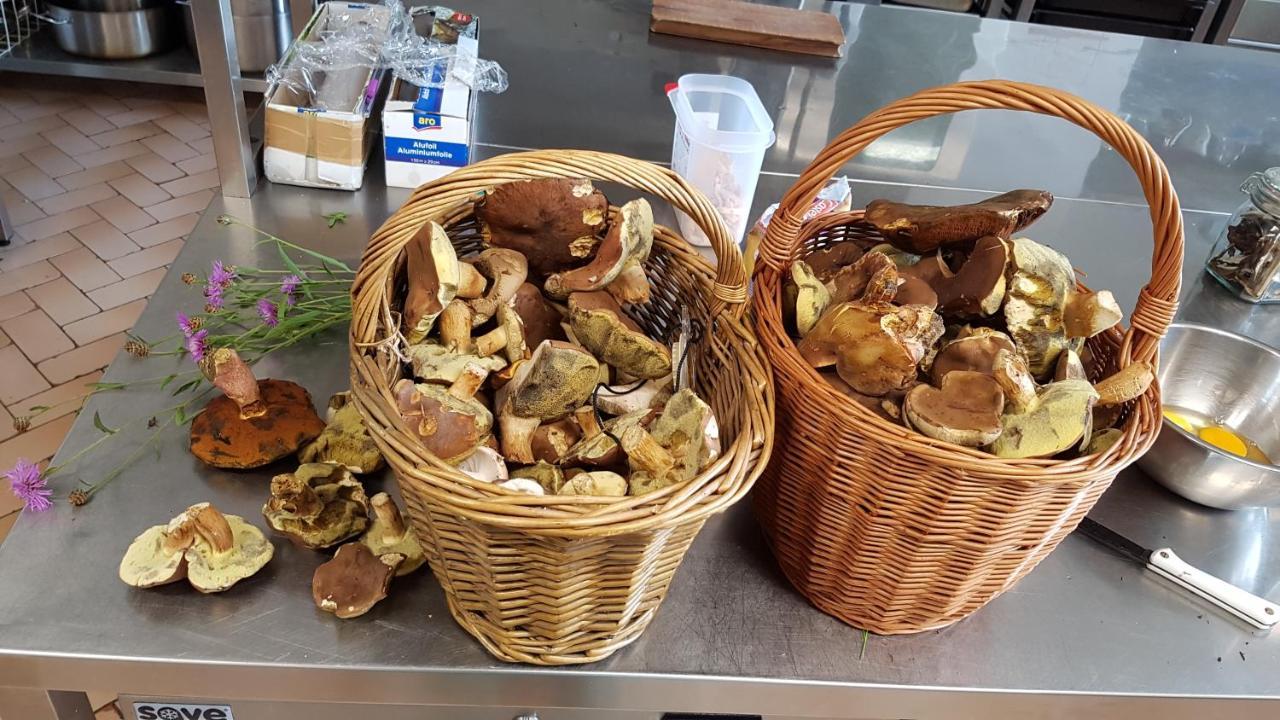 Hotel Chytrov Volfirov Zewnętrze zdjęcie